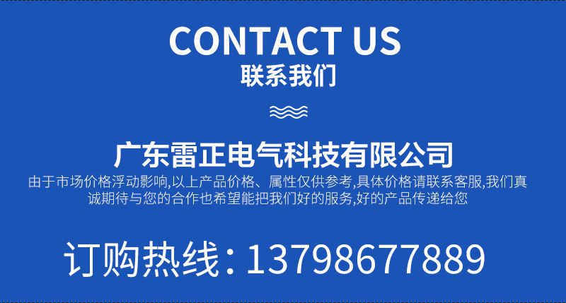 聯系雷正電氣